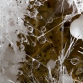 Beremendi-kristálybarlang