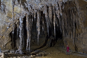Canuela-barlang - Spanyolország
