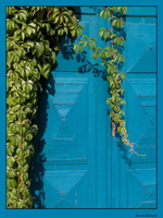Kék ajtó
